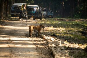 जिम कॉर्बेट नेशनल पार्क का इतिहास